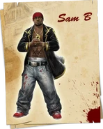Sam B
