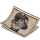 Photograph-icon