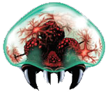 Metroid estándar