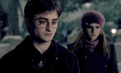Harryhermionegodrics
