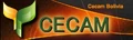 CECAM logo.jpg
