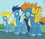 The Wonderbolts
