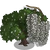 Crack Willow Tree-icon.png