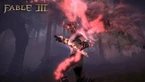 Fable 3 Evil Hero