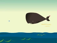 MirrorMirrorWhale