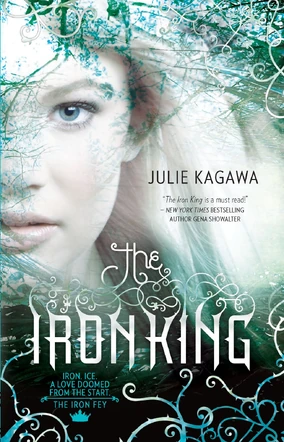 Julie kagawa-theironking