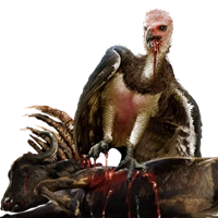 Huge item beardedvulture 01.png