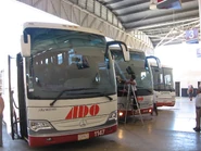 Adobus