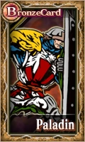 Male Paladin Card