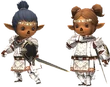 Tarutaru PLD (FFXI)