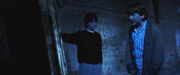 Mirror of erised harry and ron