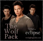 Wolf-1-pack-eclipse