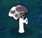 Scaredy-shroom123.jpg (3 KB)