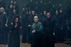 DH2 Death Eaters with Voldemort during the battle.jpg