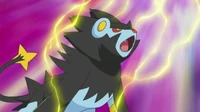 EP648 Luxray usando onda voltio