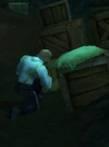 StormwindInvestigator