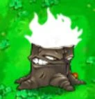 Torch wood.jpg (4 KB)