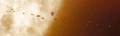 Kelvin shuttles.jpg