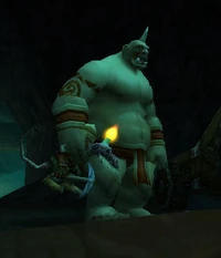 Image of Ogre Henchman