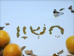 Shalom16-04