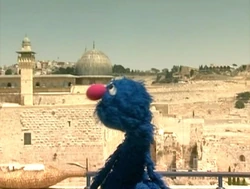Shalom16-08
