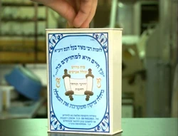 Shalom16-13