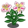 Alstroemeria Lily (Spring Basket)-icon