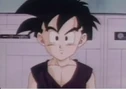 Gohan 2e
