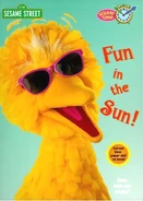 Funinthesuncbook