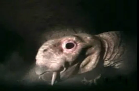 Diictodon Jurassic Wiki