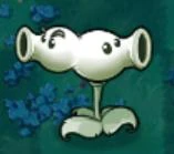 Split pea.jpg (4 KB)