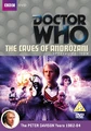 Dw-dvd-revisitations-androzani-hp3