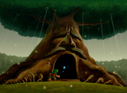 Link Enters the Great Deku Tree