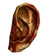 Legion ear