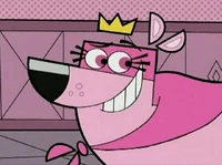 Ace