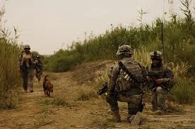 DR soldiers
