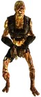 Vault 34 Overseer