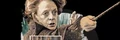 Minerva McGonagall battle.jpg