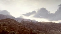 Rdr cholla springs