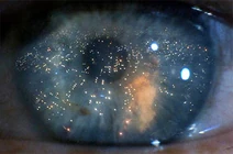 600full-blade-runner-screenshot