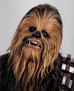 Chewbaccaheadshot