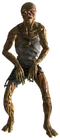 Feral ghoul 02