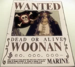 Woonan Bounty.png