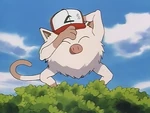 Mankey with hat