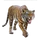 Item malayantiger 01.png