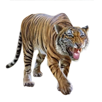 Huge item malayantiger 01.png