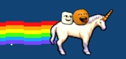 Nyan Nya Orange