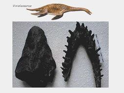 Vinialesaurus.gif