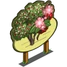 Midland Hawthorn