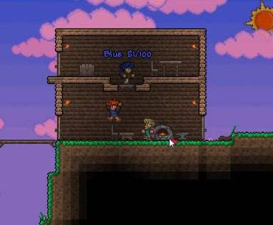Multiplayer